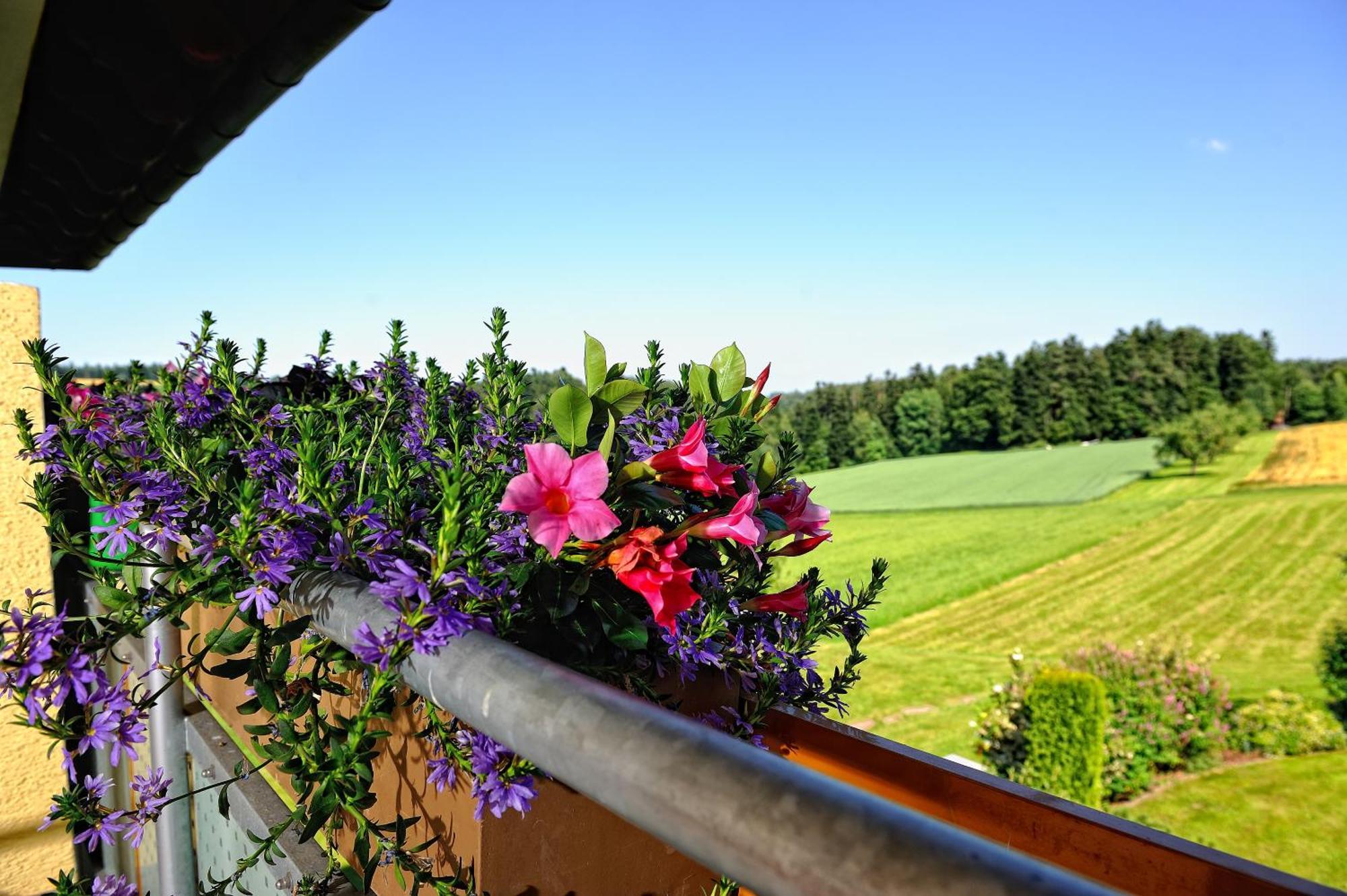 Landhotel Talblick Neuweiler  Exterior foto